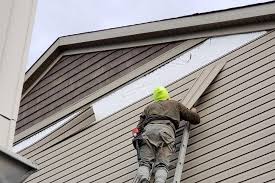 Best Custom Trim and Detailing for Siding  in Dunlap, TN